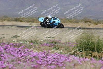 media/Feb-04-2023-SoCal Trackdays (Sat) [[8a776bf2c3]]/Turn 15 Inside Blooming (1050am)/